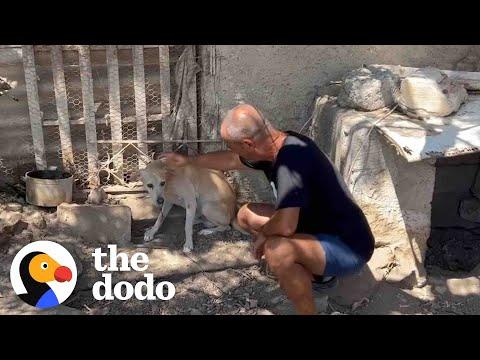 He Was Chained For 15 Years… #Video