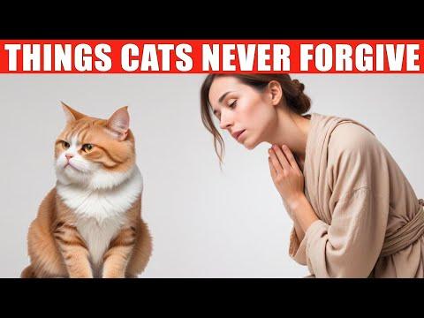 14 Things a Cat Will Never Forgive #Video