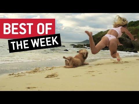 Best of the Week | Woof Watch