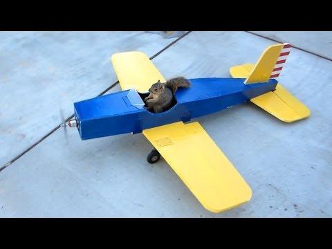 Squirrel Steals Airplane - The Whole Story