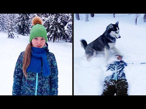 This Dog Has No Chill | YOUR Daily Dose of Pets #Video