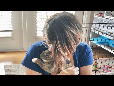 This disabled bunny was dumped in a box. A woman decided her life was not worthless. #Video