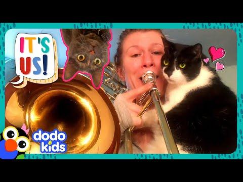 Obsessed Cats Love Music And... Showers?! | Dodo Kids #Video