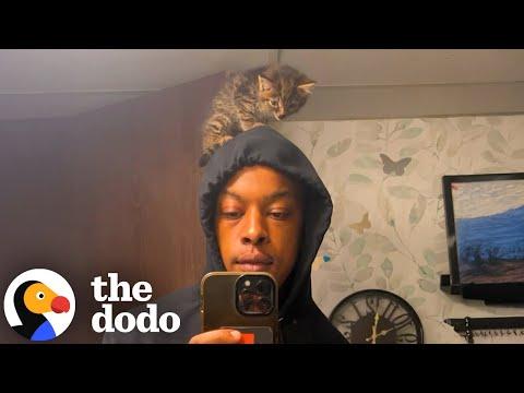 Guy Rescues A Tiny Kitten And Puts Her In His Rap Videos #Video