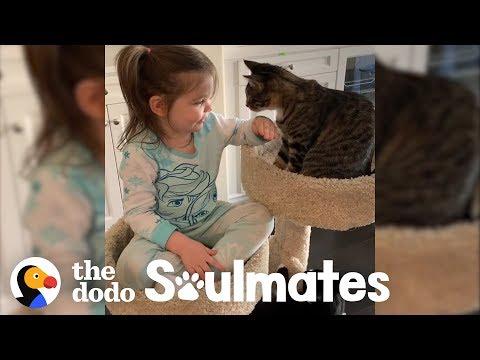 4-Year-Old Girl Has The Purest Friendship With Her Rescue Cats | The Dodo Soulmates