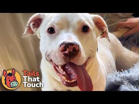 She Had 24 Hours To Live. Then A Stranger Saw Her Photo #Video