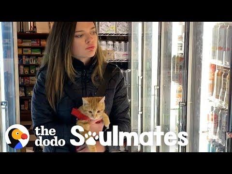 Little Rescue Kitten Is Basically A Baby! | The Dodo Soulmates