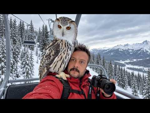 When Cute Animals Just Can Not Resist Photographers #Video