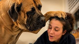 She Adopted Him for Protection... Then This Happened #Video