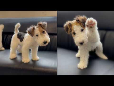 Dogs Doing Funny Dog Stuff | Try Not To Laugh Out Loud! #Video