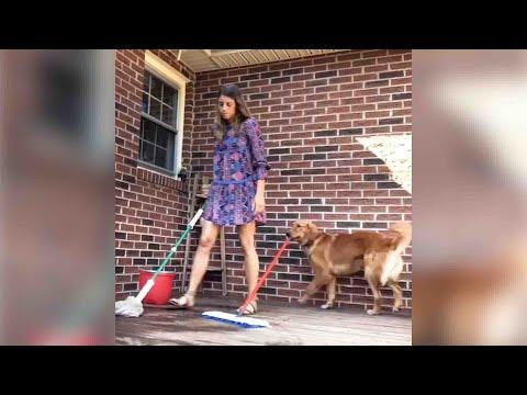 Dog Copies Everything Her Mom Does #Video
