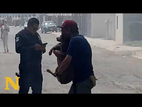 Rescue Dog Pulled From Burning Home Gets the Most Emotional Welcome Back #Video