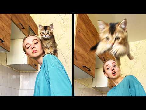 Kitten Said No To Vlogging | YOUR Daily Dose of Pets #Video