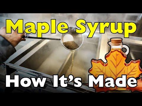 How Is Maple Syrup Actually Made? #Video