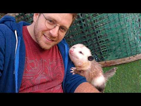 Cute Baby Animals and Humans Making Life Better #Video