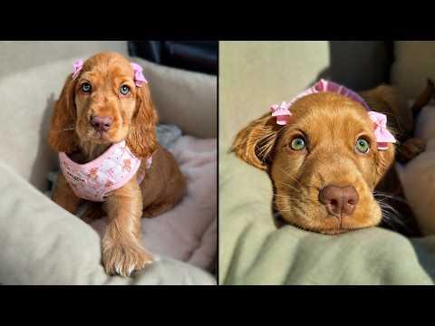 Her Eyes Are So Beautiful They Don’t Even Look Real #Video