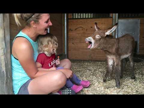 When Cutest Baby and Animal Moments In the World! #Video