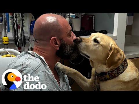 Dog Refuses To Leave His Dad's Hospital Bed #Video