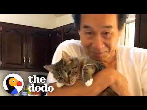 Dad Who Didn't Like Cats Falls In Love With His Daughter's Kitten #Video