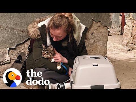 Woman Escapes The War In Ukraine With Her Cat #Video