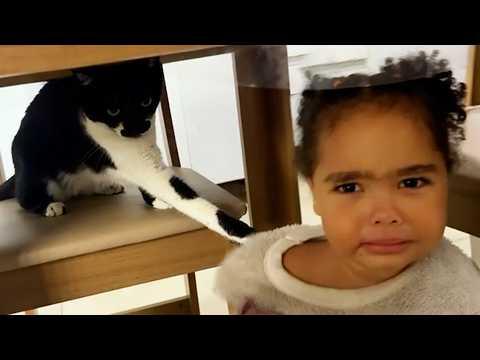 She Couldn't Escape | YOUR Daily Dose of Pets #Video