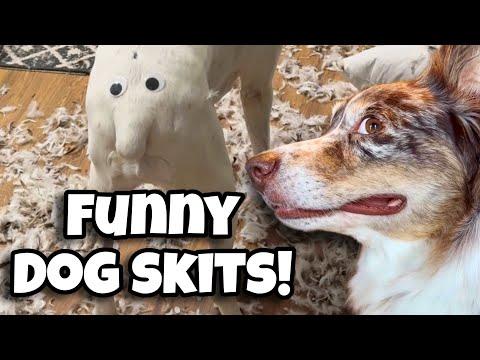 Mischievous Dog Skit Compilation | Layla and Luna #Video