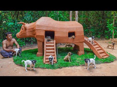 Rescue Floating Puppy Build Dog House Bull House For Them #Video