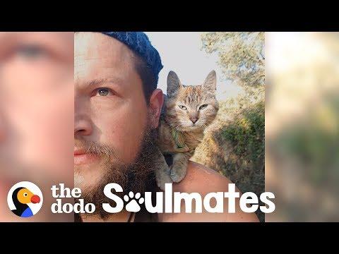 Guy Biking Across the World Picks Up a Stray Kitty