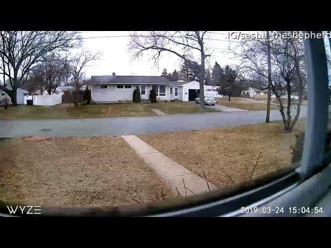 Security Camera Captures Unusual Home Intruder Video. Your Daily Dose Of Internet