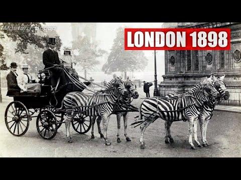 Snapshots From History V25 | Riding Zebras London 19th Century #Video