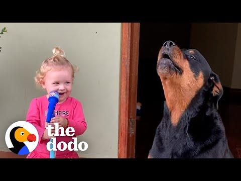 Rottie Can't Contain Herselt When Her Baby Sister Sings #Video