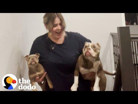 This Woman Swears She Won't Adopt Her Blind Foster Puppy #Video