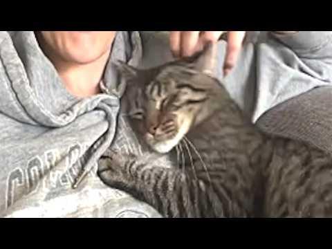 Shelter's longest resident can't stop hugging woman who adopted her #Video