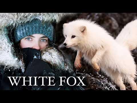 I Went to Iceland to Photograph a Rare White Arctic Fox #Video