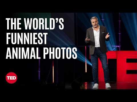 The Award for Best Comedy Wildlife Photo Goes to… | Tom Sullam | TED #Videos