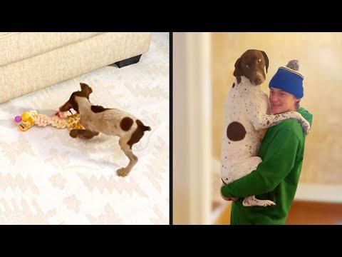 Nobody Asked Him | YOUR Daily Dose of Pets #Video