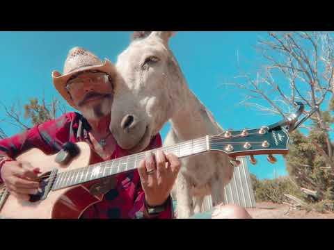 110 degrees but we are still COOL Hazel the donkey #Video