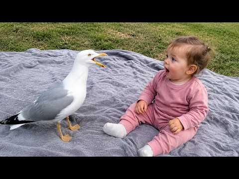 When a Baby Meets a Very Loud Bird | Funniest Birds You've Ever Seen #Video