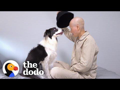 Dog Waits For Months For Mom To Come Home From The Hospital #Video