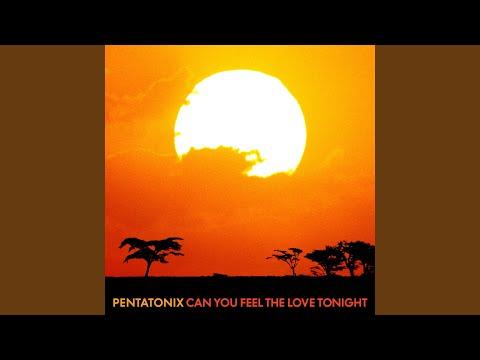 Can You Feel the Love Tonight? - Pentatonix