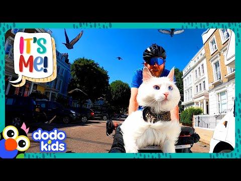 Princess Cat Loves Biking But CAN’T STAND One Thing... | Dodo Kids #Video