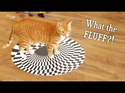 Can Cats See Optical Illusions? (Indoor Sinkhole) #Video