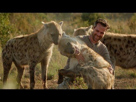The Man Who Tickles And Plays With Hyenas