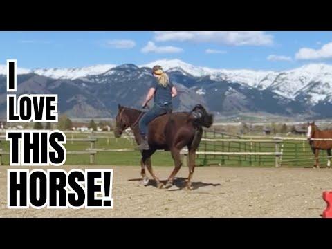 29 years old!? Riding my FAVORITE horse Frisco Bill - The Clever Cowgirl #Video