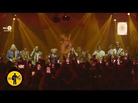 Could You Be Loved | Playing For Change Band | Live at Warung 2026 #Video