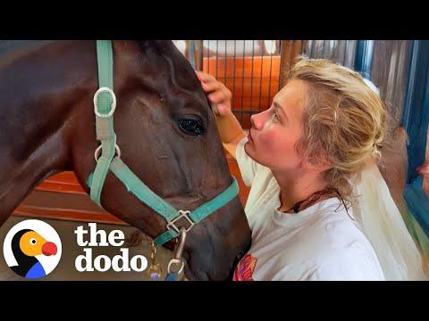 Two Neglected Horses Who Could Barely Walk Help Each Other Heal #Video