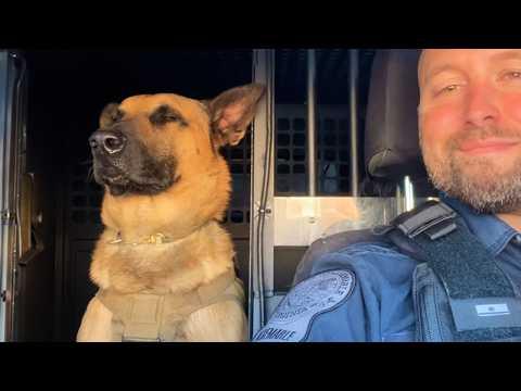 When Your Police Dog Turns Out to Be a Comedian #Video