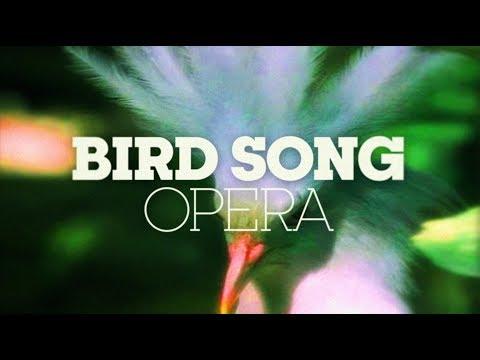 BIRD SONG OPERA