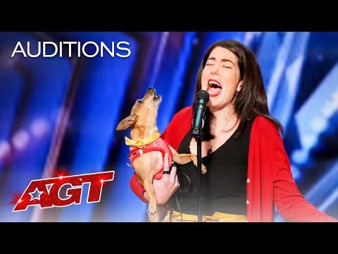 Incredible Singing Dog Casper - America's Got Talent #Video