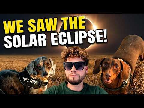 A walk with my Dachshunds and a solar eclipse! #Video